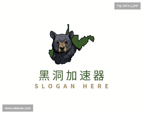 介绍黑洞加速器